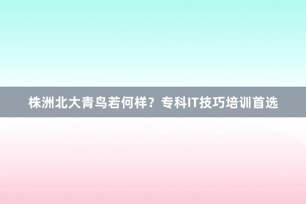 株洲北大青鸟若何样？专科IT技巧培训首选